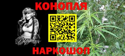 стафф Заводоуковск