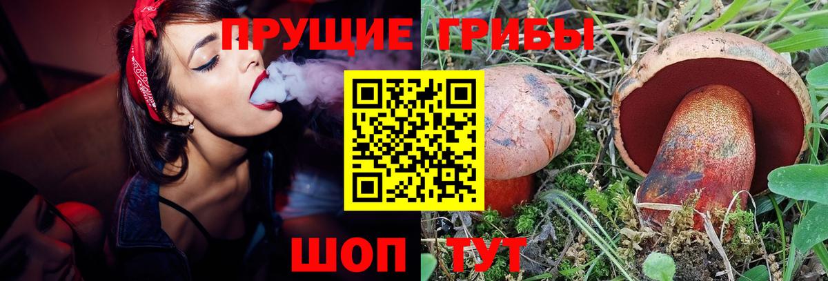 Ржев  Галлюциногенные грибы прущие грибы  магазин    Вход с VPN  Псилоцибиновые грибы MAGIC MUSHROOMS 